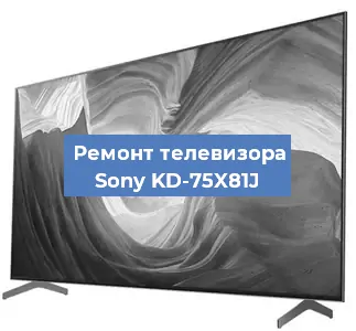 Замена порта интернета на телевизоре Sony KD-75X81J в Ростове-на-Дону